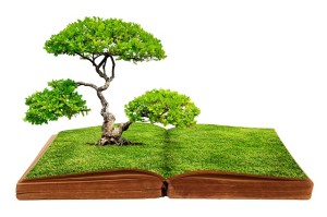 big-tree-growth-from-a-book