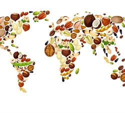 World map of vegetables