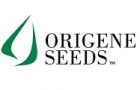 Origene Seeds